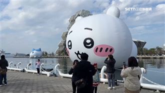 吉伊卡哇盜版攤流竄！著作權方提告警查緝