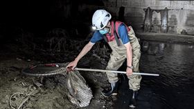 新北動保處,春節,不打烊,