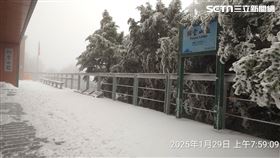 低溫,白雪,海拔,寒流,腳印,氣溫,苗栗,新北,排雲山莊,台灣,中央氣象署,黃喉貂