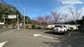 新社,景點,死亡,法鬥犬,停車場,台中（圖／翻攝畫面）