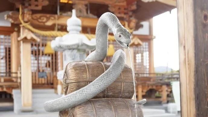 日本唯一活體白蛇神社　御守藏蛇皮超招財