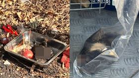 大年初一驚傳神秘人拿「黑貓頭顱」獻祭。（圖／翻攝自臉書社團「狗貓人爭取動物及綜合得到生存應有權利平台，狗貓人事務所，支援组及關注组，MO MO KIDS」）