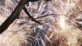 放鞭炮迎蛇年亂象多　新北街頭現「戰爭級」場景