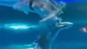 水族館,美人魚,攻擊,觀眾,大陸,俄羅斯（圖／翻攝自Telegram）