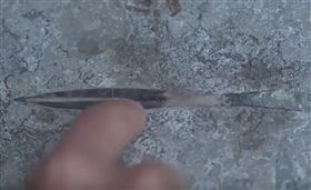 母女散步意外發現地上化石 距今達逾4億年（圖／微博）