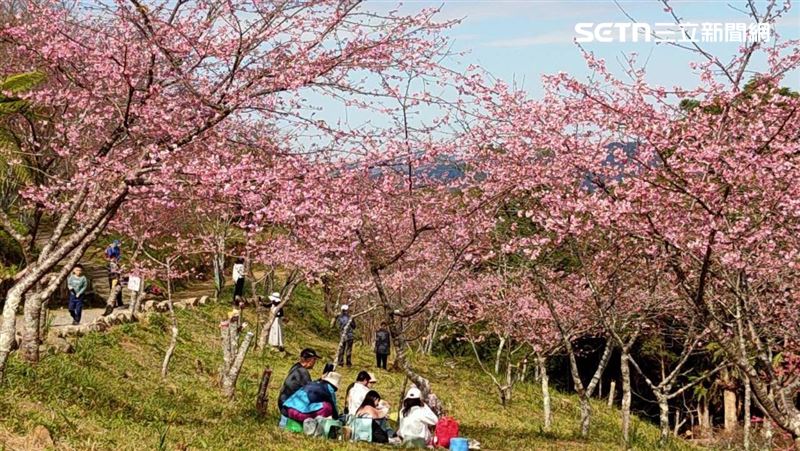 醫師劉曜增表示，過年走春、拜年，可降低罹患糖尿病的風險。（圖／資料照）