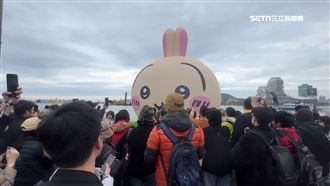 搶看吉伊卡哇輕軌塞爆　旅客疑硬擠爆口角