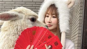 王宥忻（圖／固力狗提供）