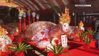 大鈔重金打造！價值200萬元金錢龜王亮相