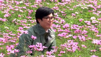 讚美濃花海花況佳　陳其邁推走春行賞景