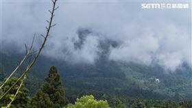 奮起湖（記者陳弋攝影）