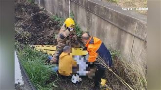 魂斷年初三！男騎士墜2米深大排車毀人亡