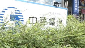 5G時代,中華電信 圖／資料照