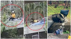 水溝,婦人,內埔鄉,屏東,轎車,引擎蓋,追撞,車禍