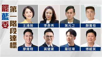 罷團2／3起兩梯次送件　26藍委恐面臨罷免