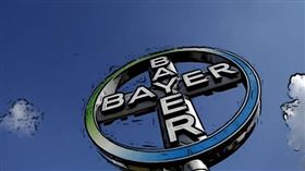 ▲ 拜耳與Neste攜手合作，推動冬季油菜成為可再生燃料的重要原材料，實現農業可持續發展與能源脫碳的雙重目標。（圖／永續新聞網提供） 