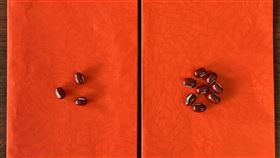 命理專家表示，4生肖立春快「躲春」避災禍，做「1事」轉好運。（圖／楊登嵙提供）