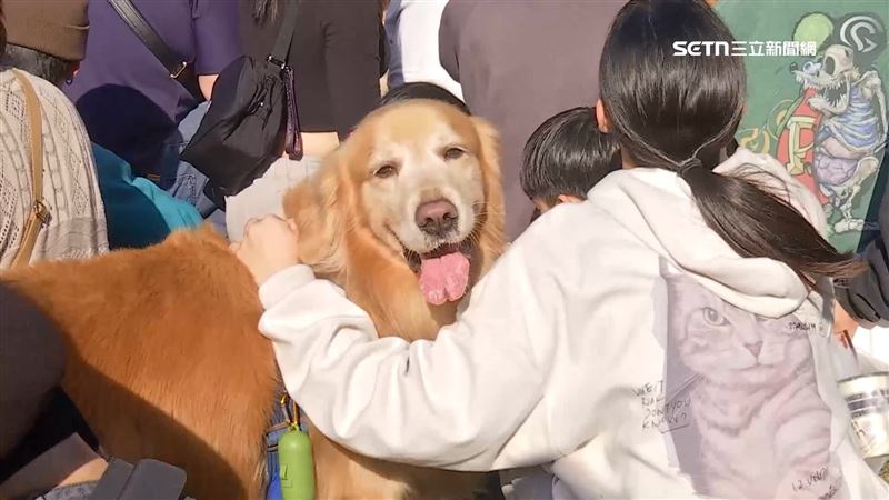 大型犬聚會！300隻黃金獵犬公園爭寵