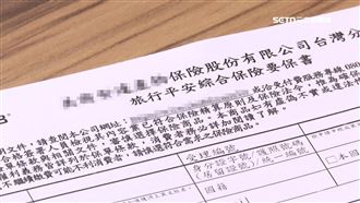 大S驟逝！旅平險理賠掀討論　專家這麼說