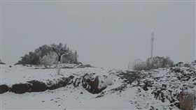 寒流、水氣配合，玉山北峰12:50開始下雪，且還在持續中。（圖／氣象署提供）