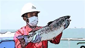 ▲ 中國對養殖鮭魚的需求持續增長，虹鱒成為可行替代方案，並促使本土養殖與可持續水產技術的發展，重塑全球鮭魚貿易格局。（圖／永續新聞網提供） 