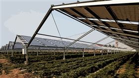 ▲ 農業光伏技術通過結合糧食生產與清潔能源發電，提升農業永續性、降低碳排放，並助力全球邁向淨零排放目標。（圖／永續新聞網提供） 