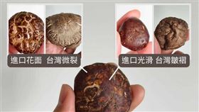 廖炯程教學辨識撇步。（圖／臉書　廖炯程 （少婦救星））