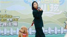 接下新節目《九條好漢在一班》的金鐘常勝軍陶晶瑩，前年以實境秀《哈囉！毛小孩》再度入圍金鐘。（圖／林士傑攝）