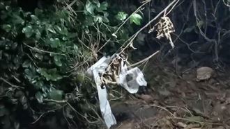 殺情敵棄屍！兇嫌惡夢纏身3度求法官交保