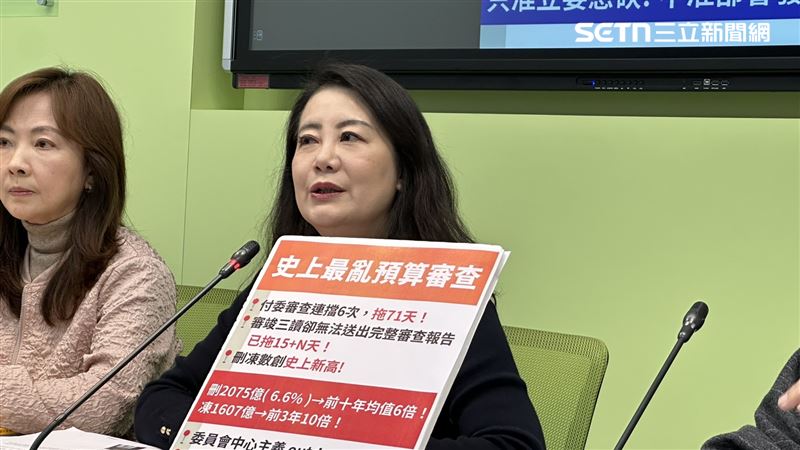 政院中辦停擺！綠轟：砍預算非抓癢是重傷