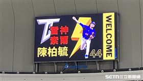 ▲旅美好手陳柏毓報到台灣隊，大巨蛋螢幕圖卡顯示「雷神索爾」。（圖／記者張沛嘉攝影）