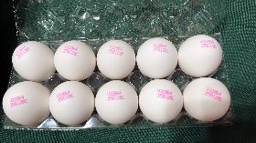 防雞蛋產量再衝高  業界擬銷毀100