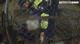 台中,阿嬤,鐵絲網,受困,意外（圖／翻攝畫面）