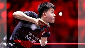 台灣桌球小將高承睿。（資料圖／翻攝自WTT官網）