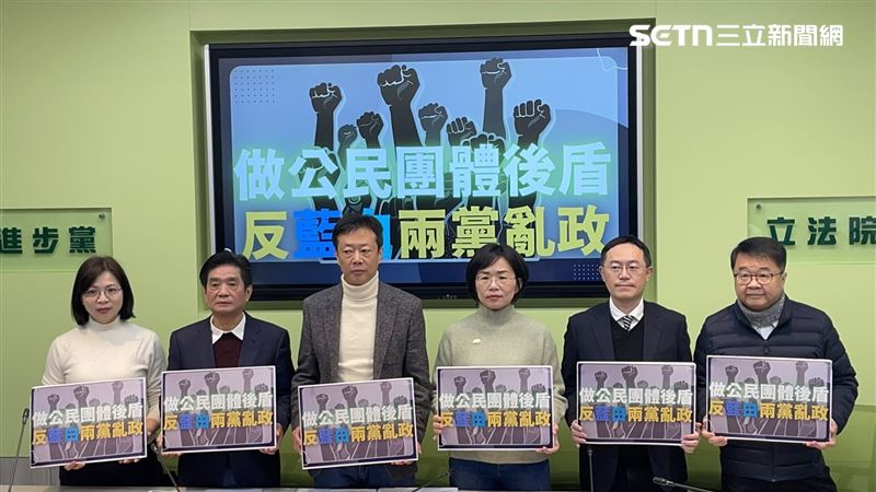 大罷免不沉默！綠新北黨部籲協助二階連署
