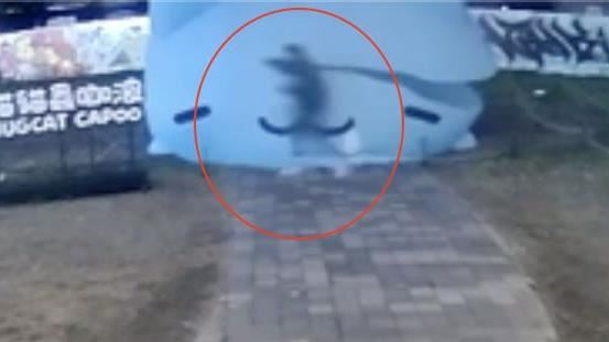 行刺畫面曝光！男持利刃「繞著咖波跑一圈」嚴重割傷　囂張踩屍體逃逸