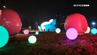 2025台灣燈會在桃園　光臨千塘國燈區吸睛