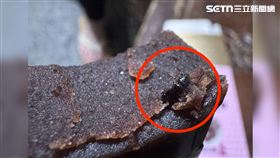 獨家／花蓮曾記麻糬陷「蟲蟲危機」　羊羹竟藏黑色甲蟲