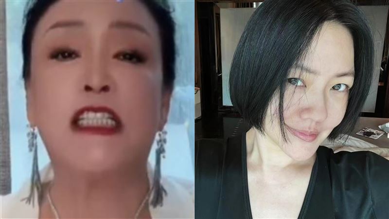 小S扳倒張蘭過程曝　1文件成最大關鍵