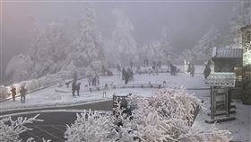 寒流來襲  銀白霧淞妝點宜蘭太平山寒流來襲，9日太平山國家森林遊樂區山頭結滿霧淞，加上8日下雪未融化，園區呈現一片銀色世界。（農業部林業及自然保育署宜蘭分署提供）中央社記者王朝鈺傳真  114年2月9日
