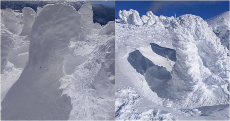日本賞「樹冰」陷雪坑　台旅客差點凍死