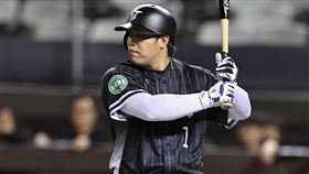 ▲陳子豪在經典賽資格賽熱身賽，面對台鋼雄鷹首打席就炸裂。（圖／中華職棒提供）