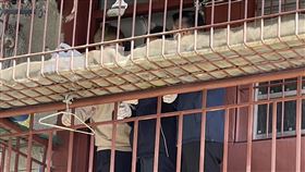 高雄,殺人魔,分屍,前鎮河,棄屍,張介宗