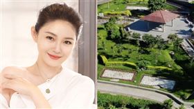 大S、樹葬示意圖。（合成圖／翻攝自微博、臺北市殯管處）