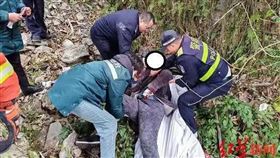 春節,尿急,塞車,路邊（圖／翻攝自微博）
