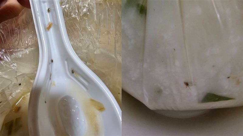 被爆魚肉粥滿是蟲　北市知名餐廳道歉了