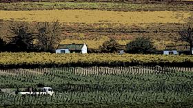 ▲ 《2024年徵收法》的通過，為南非的土地改革提供了更完善的法律基礎（圖／永續新聞網提供） 