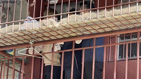 高雄,殺人魔,分屍,前鎮河,棄屍,張介宗