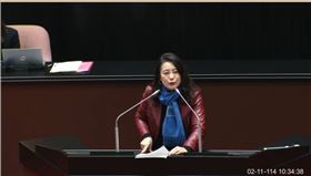 民進黨立法院黨團幹事長吳思瑤。（圖／翻攝立法院IVOD）
