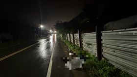 文女春節慘遇劫，肇事駕駛竟還酒駕逃逸。（圖／警方提供）